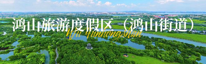 奋进的夏！ 街道书记、主任一周冰球突破技巧乘着五月的风拥抱(图8)