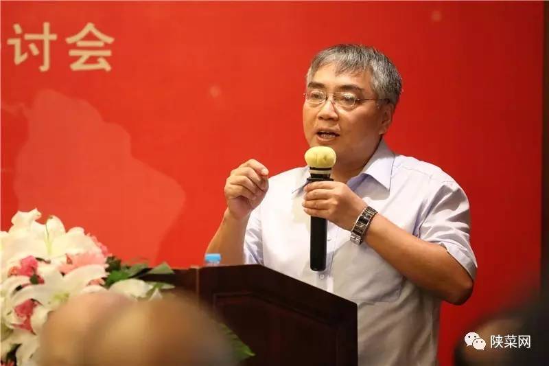 程十年纪念暨第七届文化研讨会在唐博圆满举行冰球突破游戏网站陕菜资讯 陕菜品牌创新工(图6)