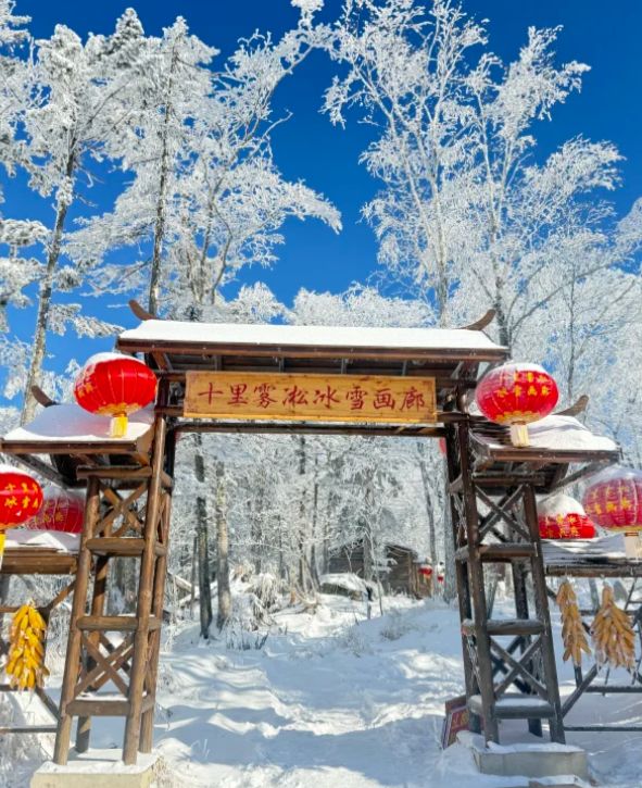 篇哈尔滨旅游5天4晚攻略给你完美答案冰球突破豪华版去哈尔滨旅游怎么玩这(图3)